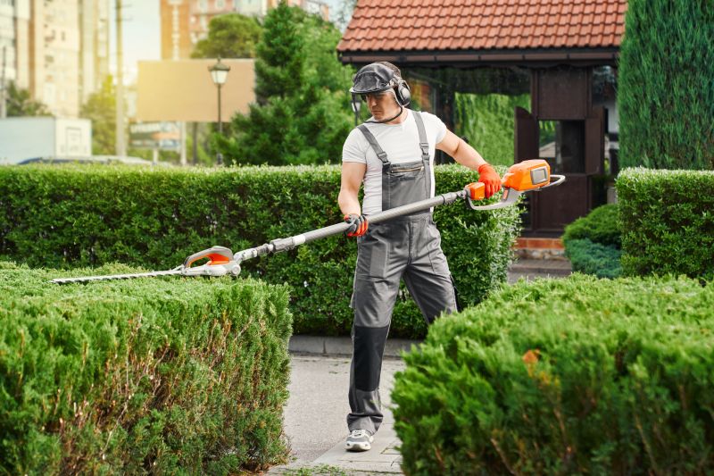 Hedge Maintenance