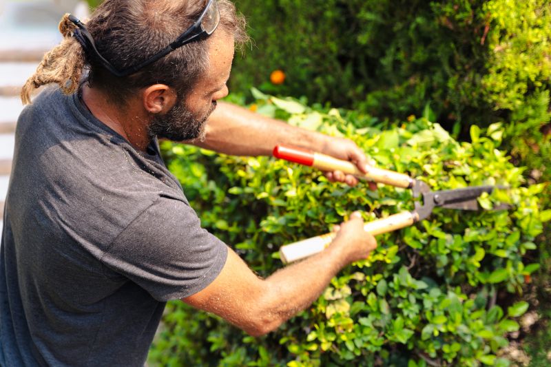 Hedge Maintenance