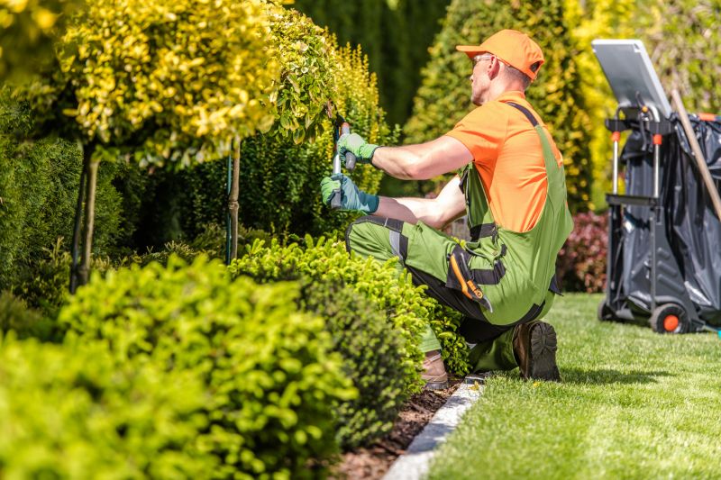 Contact About Hedge Maintenance